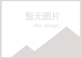 新田县夏岚能源有限公司